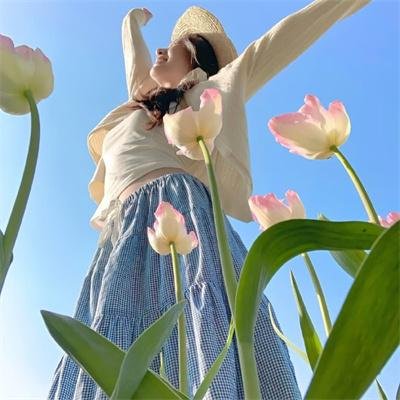 雌雄斗智